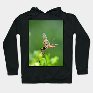 A Gentle Landing Hoodie